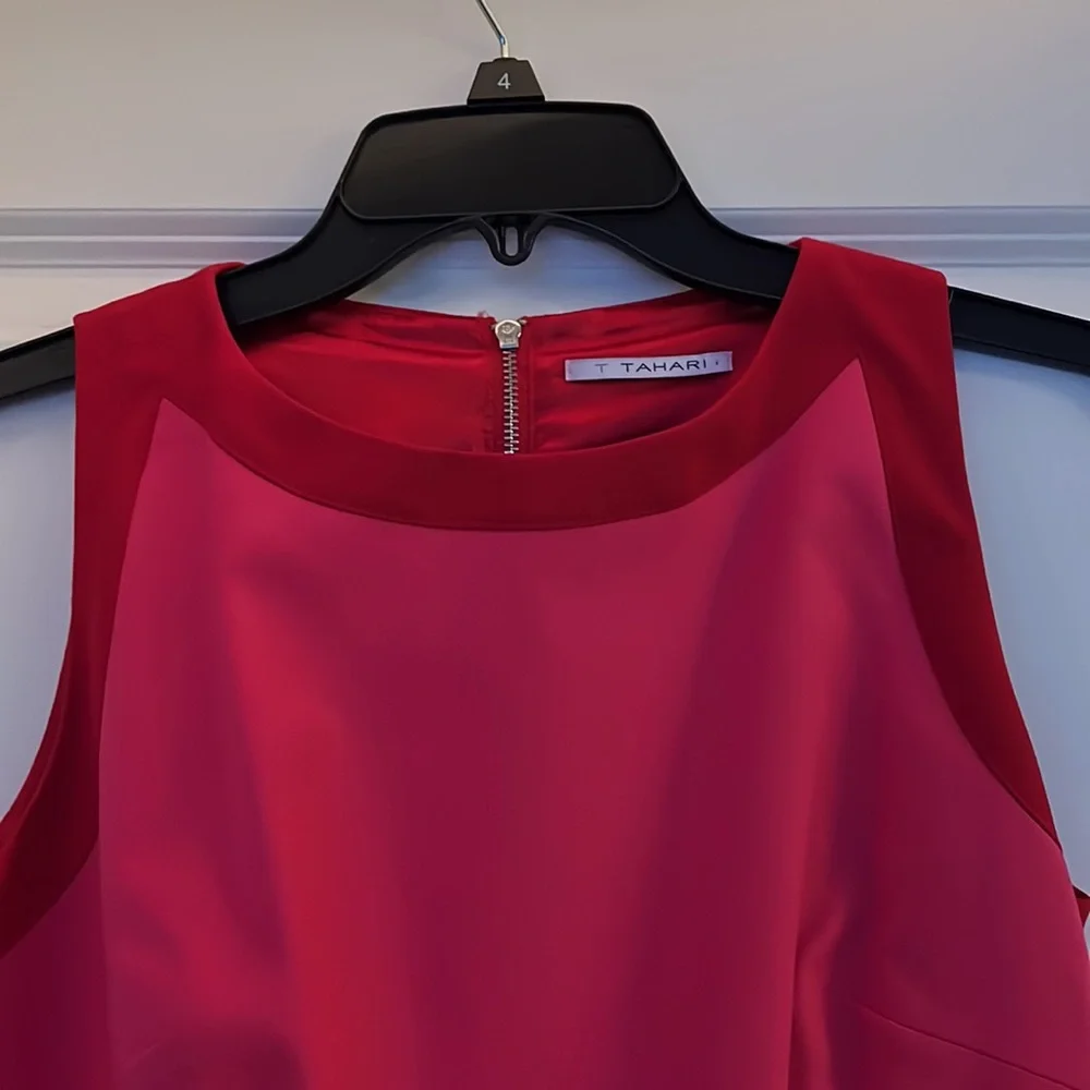 Pink and Red Tahari Dress Size 4 - Picture 5 of 6